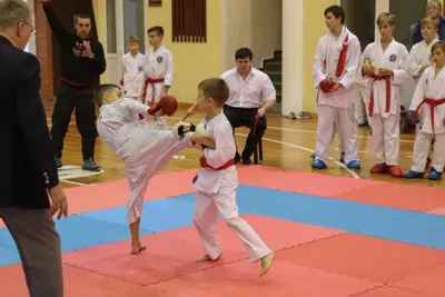 Zemgales Novada karate čempionāts - 25.11.2018 — 312