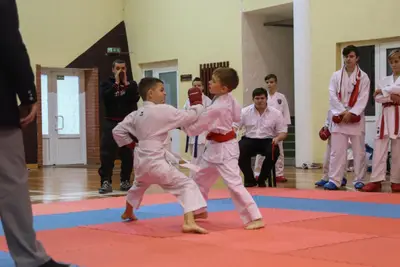 Zemgales Novada karate čempionāts - 25.11.2018 — 313