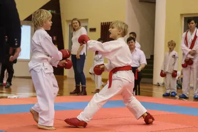 Zemgales Novada karate čempionāts - 25.11.2018 — 315