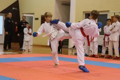 Zemgales Novada karate čempionāts - 25.11.2018 — 320