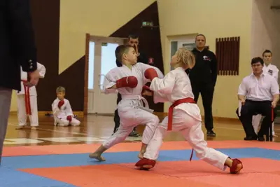 Zemgales Novada karate čempionāts - 25.11.2018 — 323