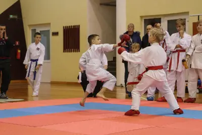 Zemgales Novada karate čempionāts - 25.11.2018 — 324
