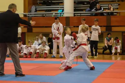 Zemgales Novada karate čempionāts - 25.11.2018 — 327