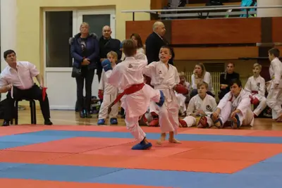 Zemgales Novada karate čempionāts - 25.11.2018 — 328