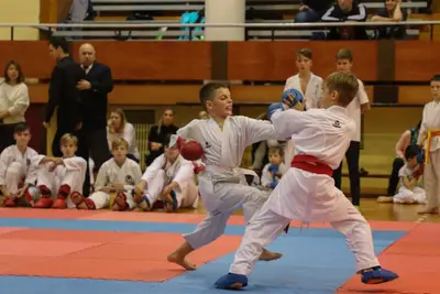 Zemgales Novada karate čempionāts - 25.11.2018 — 329