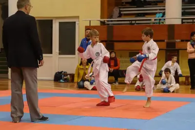 Zemgales Novada karate čempionāts - 25.11.2018 — 331