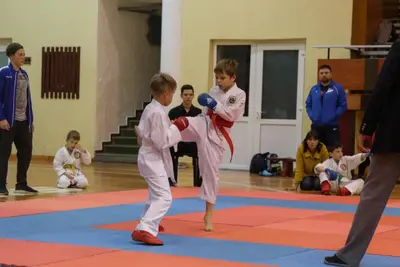 Zemgales Novada karate čempionāts - 25.11.2018 — 333