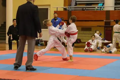 Zemgales Novada karate čempionāts - 25.11.2018 — 334
