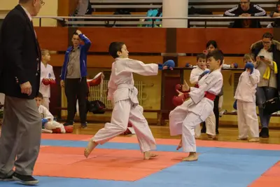 Zemgales Novada karate čempionāts - 25.11.2018 — 336