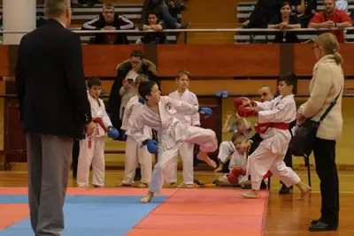 Zemgales Novada karate čempionāts - 25.11.2018 — 337
