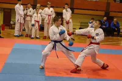 Zemgales Novada karate čempionāts - 25.11.2018 — 339