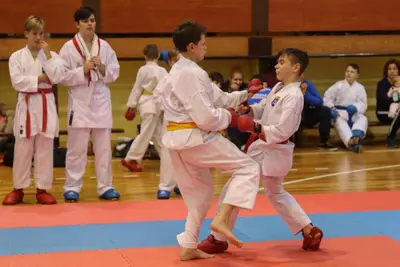 Zemgales Novada karate čempionāts - 25.11.2018 — 342