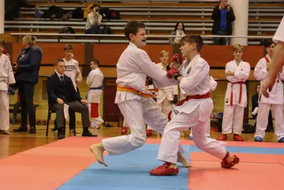 Zemgales Novada karate čempionāts - 25.11.2018 — 344