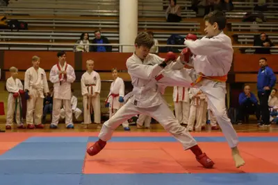 Zemgales Novada karate čempionāts - 25.11.2018 — 345