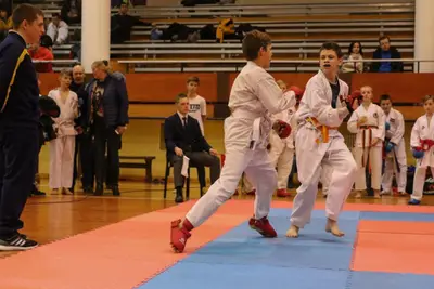 Zemgales Novada karate čempionāts - 25.11.2018 — 347