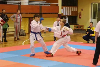 Zemgales Novada karate čempionāts - 25.11.2018 — 351
