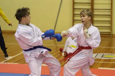 Zemgales Novada karate čempionāts - 25.11.2018 — 352