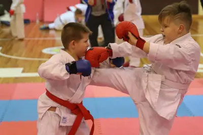 Zemgales Novada karate čempionāts - 25.11.2018 — 206