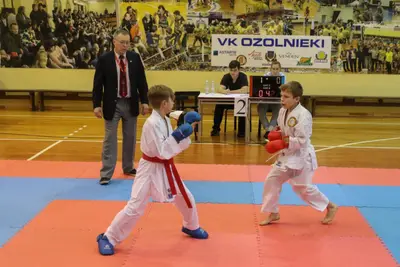 Zemgales Novada karate čempionāts - 25.11.2018 — 210