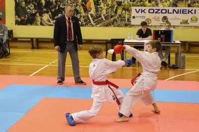 Zemgales Novada karate čempionāts - 25.11.2018 — 211