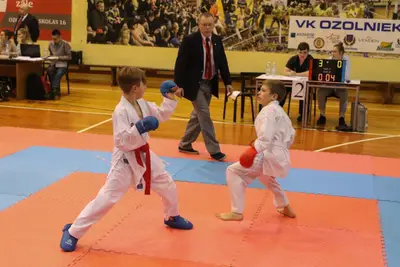 Zemgales Novada karate čempionāts - 25.11.2018 — 212