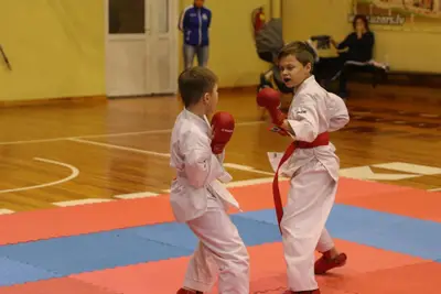 Zemgales Novada karate čempionāts - 25.11.2018 — 213