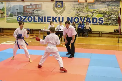 Zemgales Novada karate čempionāts - 25.11.2018 — 219