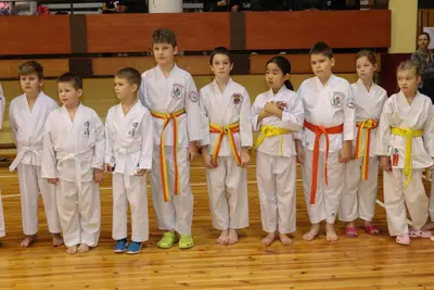 Zemgales Novada karate čempionāts - 25.11.2018 — 31