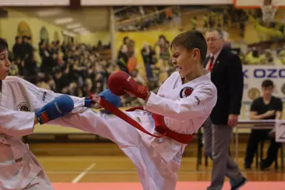 Zemgales Novada karate čempionāts - 25.11.2018 — 229