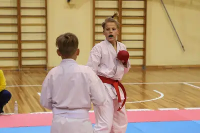 Zemgales Novada karate čempionāts - 25.11.2018 — 233