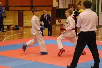 Zemgales Novada karate čempionāts - 25.11.2018 — 234