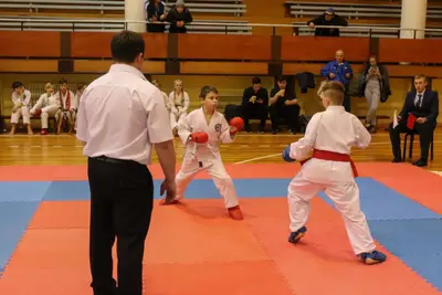 Zemgales Novada karate čempionāts - 25.11.2018 — 237
