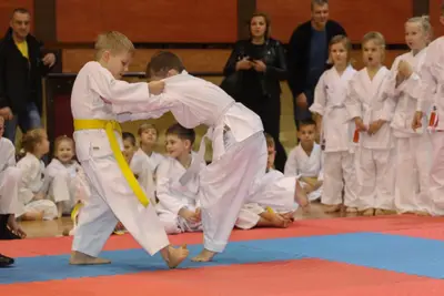 Zemgales Novada karate čempionāts - 25.11.2018 — 45