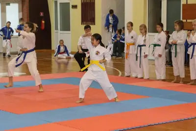 Zemgales Novada karate čempionāts - 25.11.2018 — 49