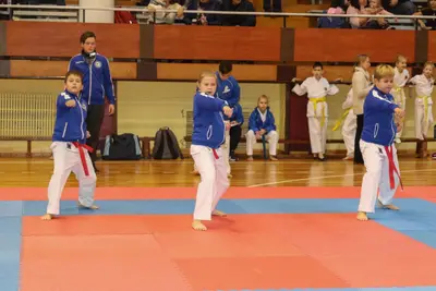 Zemgales Novada karate čempionāts - 25.11.2018 — 4