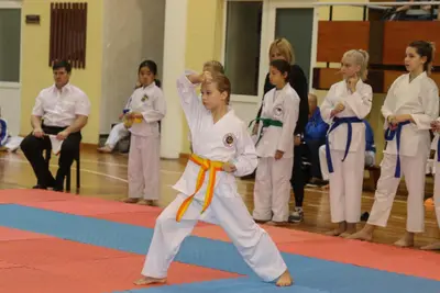 Zemgales Novada karate čempionāts - 25.11.2018 — 51
