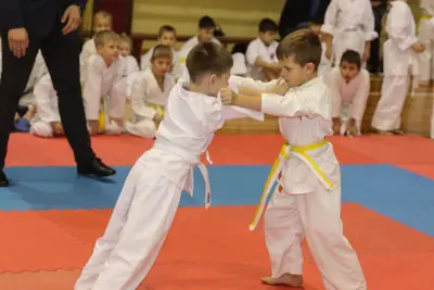 Zemgales Novada karate čempionāts - 25.11.2018 — 52