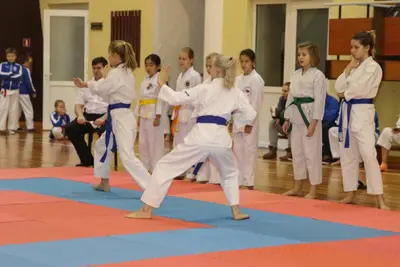 Zemgales Novada karate čempionāts - 25.11.2018 — 53