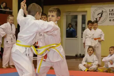 Zemgales Novada karate čempionāts - 25.11.2018 — 55