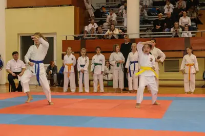 Zemgales Novada karate čempionāts - 25.11.2018 — 57