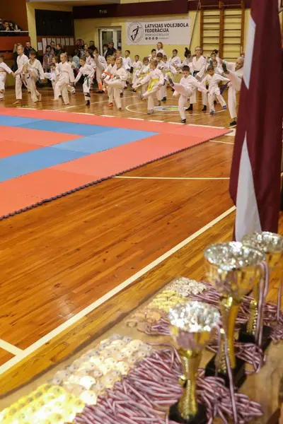 Zemgales Novada karate čempionāts - 25.11.2018 — 5