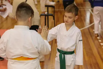 Zemgales Novada karate čempionāts - 25.11.2018 — 72
