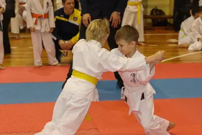 Zemgales Novada karate čempionāts - 25.11.2018 — 77
