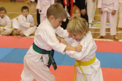 Zemgales Novada karate čempionāts - 25.11.2018 — 93