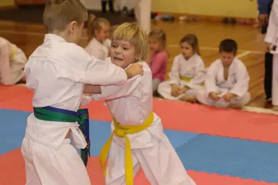 Zemgales Novada karate čempionāts - 25.11.2018 — 95